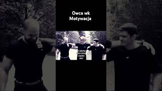 Dyscyplina owca wk dyscyplina motywacja lepszeżycie wiarawsiebie youtubeshorts [upl. by Etteiluj]