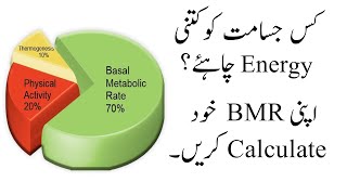 How to Calculate BMR  Calorie Calculation  DrAbbas Official [upl. by Ainessej]