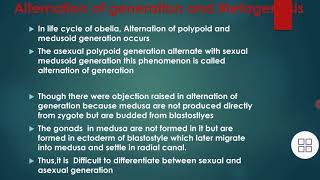 what is an alternation of generation or Metagenesis in obelia [upl. by Imat]