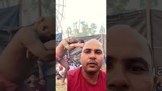 Vlock master 7500 Dangal kushti mukabala chalta hua dekhte hain kaun sa pahalvan jitega [upl. by Ynar]