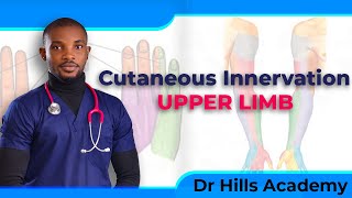 Cutaneous Innervation of the Upper Limb  Made Easy [upl. by Heddi]