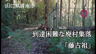 山口県周南市 到達困難な廃村集落「藤古祖」 [upl. by Nafis]