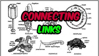 CONNECTING LINKS 10th Std Heridity And Evolution Maharashtra Board Pradeeps biology [upl. by Vassily26]