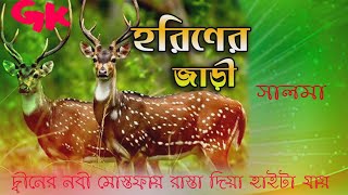 দ্বীনের নবী মোস্তফায় রাস্তা দিয়া হাইটা যায়  সালমা ইসলামী Dener nobi mostofa rashta diya haita jay [upl. by Asenaj87]