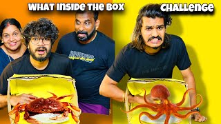 WHAT INSIDE THE BOX CHALLENGE 🤩  WITH FAMILY [upl. by Plossl]