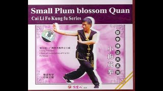 Small Plum Blossom Fist Choy Lee Fut Cai Li Fo Kungfu Series [upl. by Artinek]