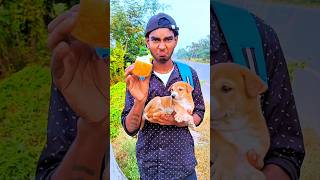 একি পারবে একা বাড়ি ফিরতে  🐕 minivlog vlog [upl. by Ardekan6]