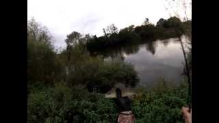 Perch fishing on the River Wye Six of the best [upl. by Lange]