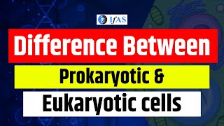 Difference Between Prokaryotic and Eukaryotic Cells🦠🧫  IIT JAM Biotechnology [upl. by Starlin]