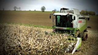 Maisdreschen 2013  Claas Lexion 550 Fendt 826 MB Axor Lohnunternehmen Kerler [upl. by Shelba]