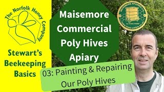 Painting Maisemore Poly Hives [upl. by Cire]