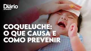 Coqueluche saiba o que causa a doença como é a transmissão e como prevenir [upl. by Faustine]