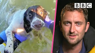 Rescuing Molly the Springer Spaniel 🐶  Saving Lives at Sea  BBC [upl. by Donaugh]