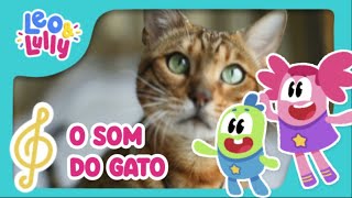 O Som do Gato  Barulhos dos Animais  Aprender Brincando [upl. by Rivalee]