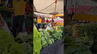 Feira LIVRE do NORDESTE é assim 🫛🥦 [upl. by Leirbag]