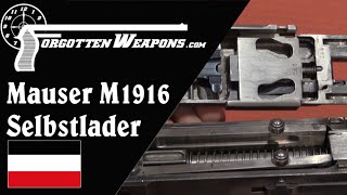 Mauser Selbstlader M1916 Infantry Version [upl. by Aicinat]