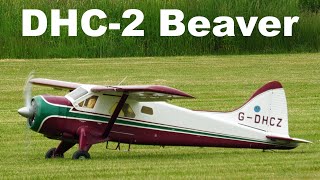 DHC2 Beaver  scale RC aircraft  4K  Trebic 2021 [upl. by Zweig]