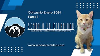 Obituario Enero 2024 Parte 1 [upl. by Aldwin888]