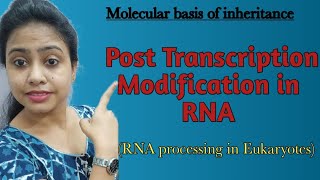 Post transcription modification of mRNA  capping tailing RNA processing in Eukaryotes  class 12 [upl. by Yelnikcm]