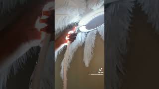 DIY Ostrich feather lamppalm tree [upl. by Mead166]