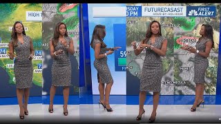 Melissa Magee with the First Alert Extended Forecast for NBC4 Los Angeles November 14 2024 [upl. by Jablon]