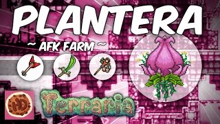 Terraria AFK Plantera Farm  Get the Axe Venus Magnum Seedler amp More 13 bosses afk farms [upl. by Vasilis]