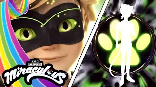 Miraculous ☯️  Cat Walker Transformation Fanmade [upl. by Barrus]