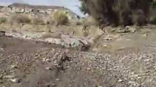 Amazing Flash Flood Footage David Rankin Rankinstudiocom [upl. by Mccormac]