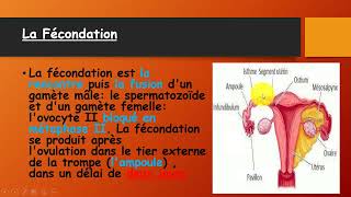 BAC Tunisie  La procreation  درس مهم جدا للتمكن من علوم الحياة و الأرض [upl. by Ilana50]