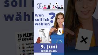 EU Wahl 2024 Wen soll ich wählen [upl. by Kowal]