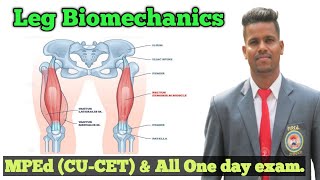 Leg Extension MovementBiomechanicsAgonist and Antagonist muscles and Synergist [upl. by Arakahs]