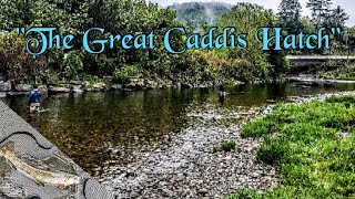 Catskills Fly Fishing quotThe Beaver Killquot  Part 2 [upl. by Ortiz]