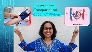 LifeProcessesTransportationBloodPressureArteryVeinCapillaryCBSE10thBiology [upl. by Aihsrop922]