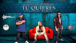 Amaro Ft Ñejo amp Dalmata  Tu Quieres Official Remix Prod By Haze [upl. by Ardnohsal]