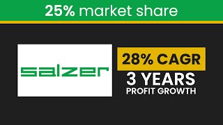 Stock analysis of Salzer Electronics Ltd [upl. by Luht]