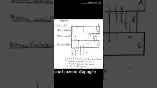 Exercice partie 2 unitée biostratigraphieBiozonedatation et collération stratigrafique [upl. by Akerdnahs710]