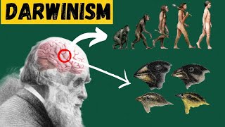 Unveiling Darwin Theory  Evolution Explained  Darwinism [upl. by Gard334]