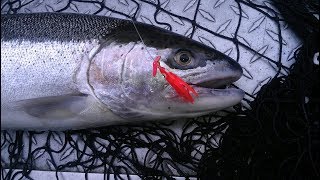 The Right Lure Size For Trout Podcast No 11 [upl. by Yelda]