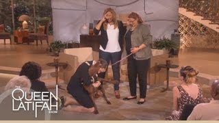 Dogs on Deployment Reunites Soldiers Dog on the Queen Latifah Show [upl. by Ahcas]