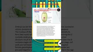 With a neat diagram explain the 7celled 8nucleate nature of the female gametophytesexual [upl. by Haynor823]