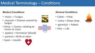 Medical Terminology  The Basics  Lesson 4 [upl. by Carrissa]