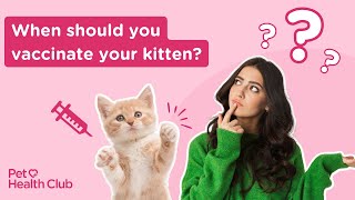 Kitten Vaccinations  When should you vaccinate your cat [upl. by Anoli]