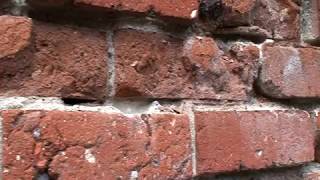 Lime Mortar Repointing The Basic Techniques for Restoring Historic Brick Homes [upl. by Alaster]