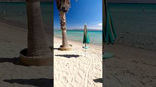 Buongiorno 💙sardegna beautiful travel sardegnaturismobeach sardinia summer shortshortvideo [upl. by Larkin]