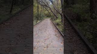 McMullen Creek Greenway Gwy 27 Oct 24 exploration outdoorfitness nature movement [upl. by Nerval920]