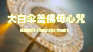 Ushnisha Sitatapatra Mantra大白伞盖佛母心咒 祈愿世界没有战乱 [upl. by Nobie]