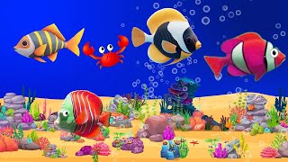 Bedtime Lullabies and Peaceful Fish Animation Lullaby Aquarium Soothing fishes fishlullaby 26 [upl. by Fleisher]