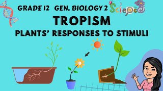 Tropism  Plants Responses to Stimuli  Grade 12 General Biology 2 Tagalog [upl. by Anerol920]