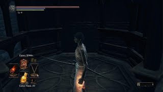 Lothric amp Lorian the Twin Princes  Ng4  No Hits Taken [upl. by Youlton]