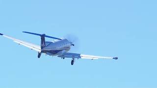 Pilatus PC12 NGX Takeoff Hayward [upl. by Eiramik]